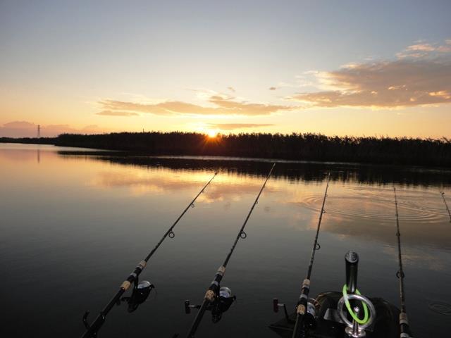 Doar ... NATURA - 3 - dsc00751.JPG